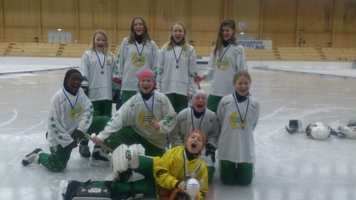 hammarby 2